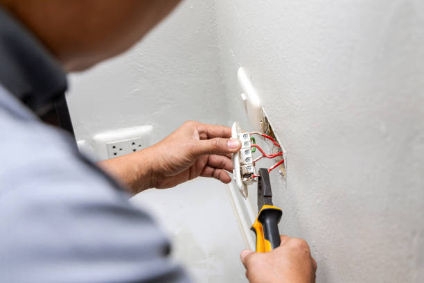 Best Electric Panel Repair  in Tucson Estates, AZ